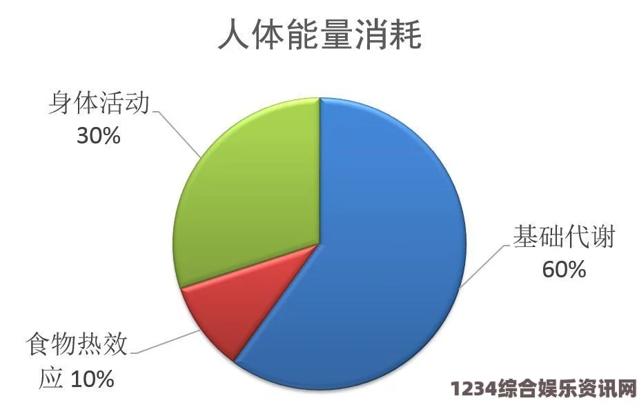 如何有效提升男人的生理长度与增长：科学方法与实用技巧