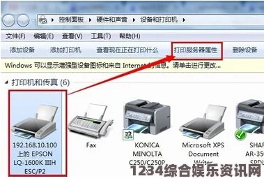 爱普生打印出来是空白怎么办