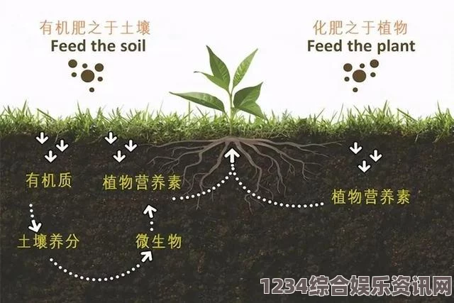 含羞草WWW中国在线资源黑土本子的深刻影响：探索其独特艺术形式与受众文化现象