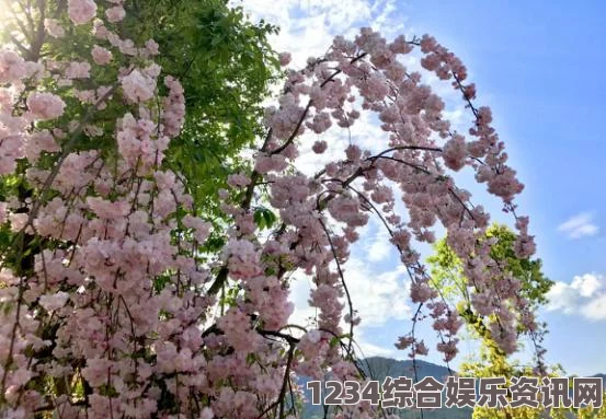 樱花动漫immionne官方雨晴书屋手机软件app随意进入，资源多多的看书软件雨晴书屋安装