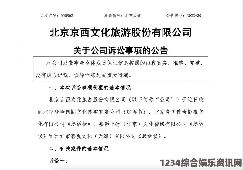 9.8分成人动画麻花传媒如何精准把握一二三产区观众需求：从观众群体分析到节目创作策略