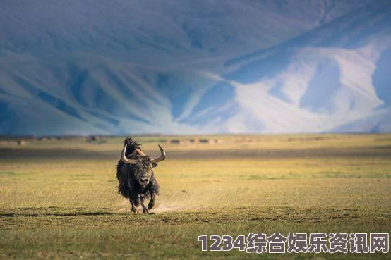 人or猪or狗日产无线码无人区：推动未来智能交通发展，破解传统信号依赖难题