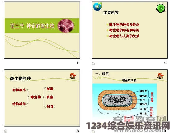 生物形态，特色内容与深度解读