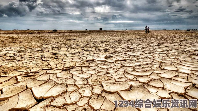 风暴之城中的森林空地事件与囊肿的产生原因解析