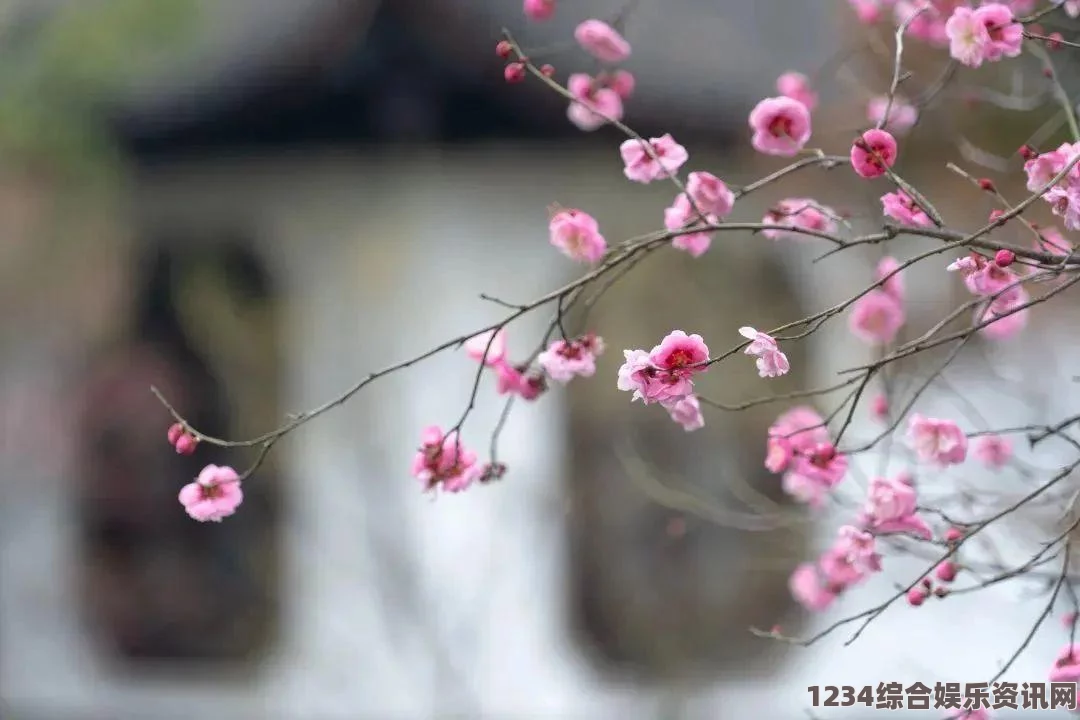 大侠立志传藏红花获取攻略与常见问题解析