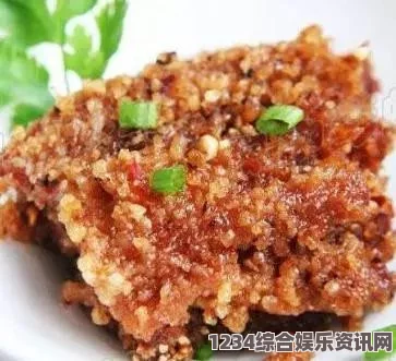 大侠立志传粉蒸肉食谱获取攻略及常见问题解答