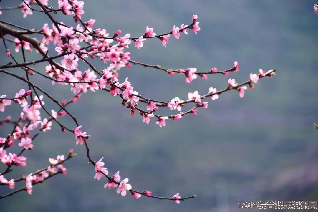 无主之地3烟火枪械获取攻略