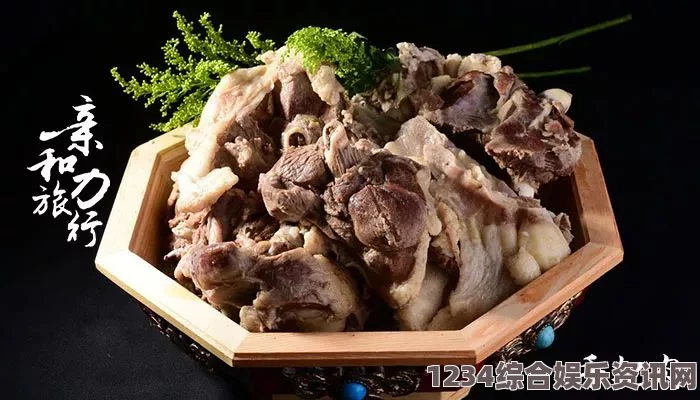 博德之门3中的山羊肉，深入解析与体验分享