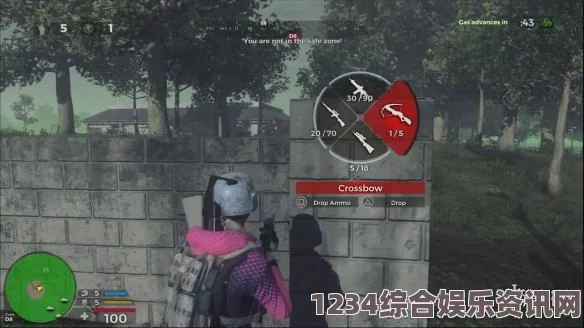 如何设置h1z1游戏画面，详细指南与问答环节