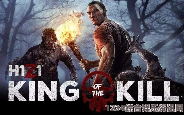 如何设置h1z1游戏画面，详细指南与问答环节